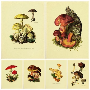 1962 Agaricus,Silvicola,Boletus,Lemn De Imprimare Ciuperci Arta De Perete Decor Micologie Ilustrare Arta Poster Print Decor Acasă Neînrămate