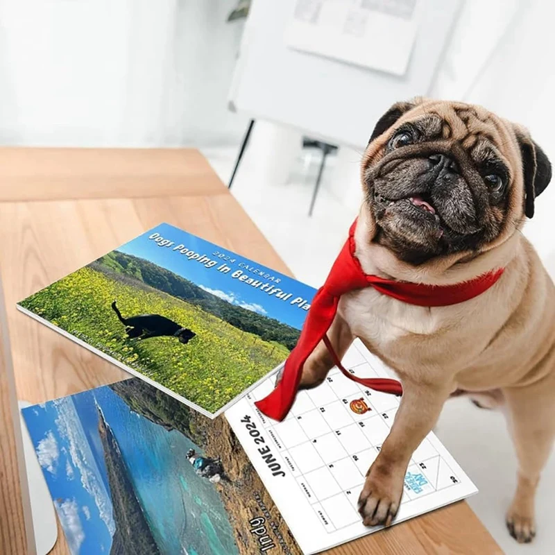 Câine care se Cacă În Loc Frumos Calendar 2024, Amuzant Arta de Perete Faringian Umor Cadou Glumă Calendar,Cadou Calendar De Crăciun 25X19cm - 1