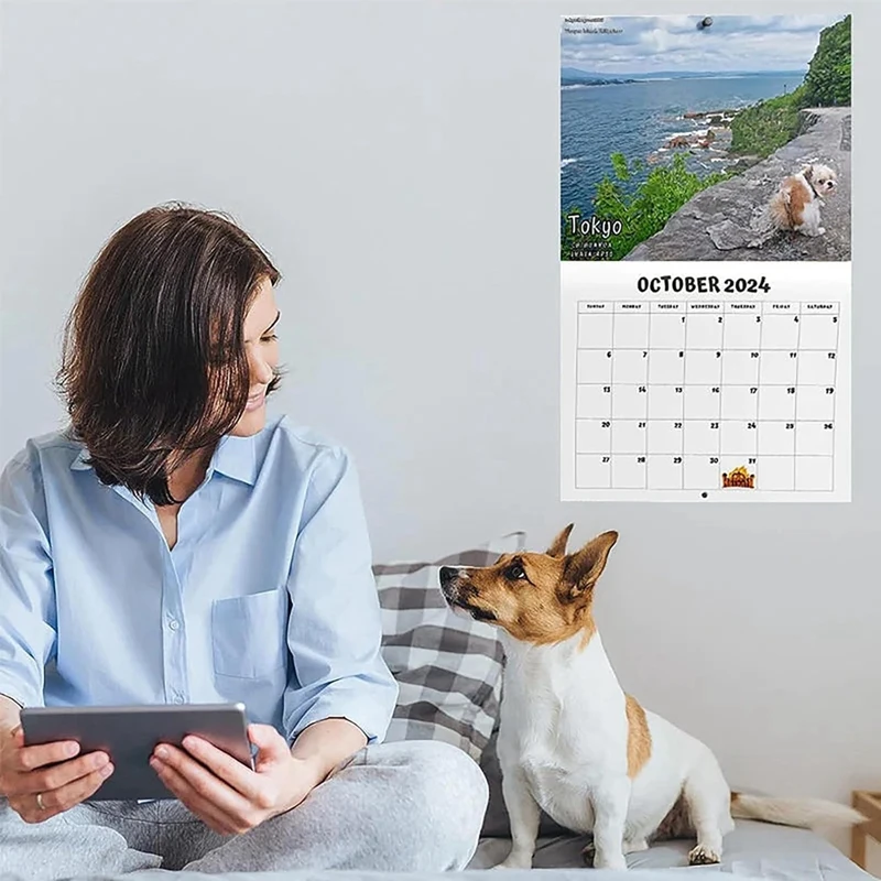 Câine care se Cacă În Loc Frumos Calendar 2024, Amuzant Arta de Perete Faringian Umor Cadou Glumă Calendar,Cadou Calendar De Crăciun 25X19cm - 3
